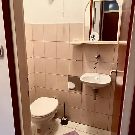 Niko - Self Check - In *